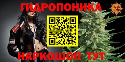 гашик Бугуруслан