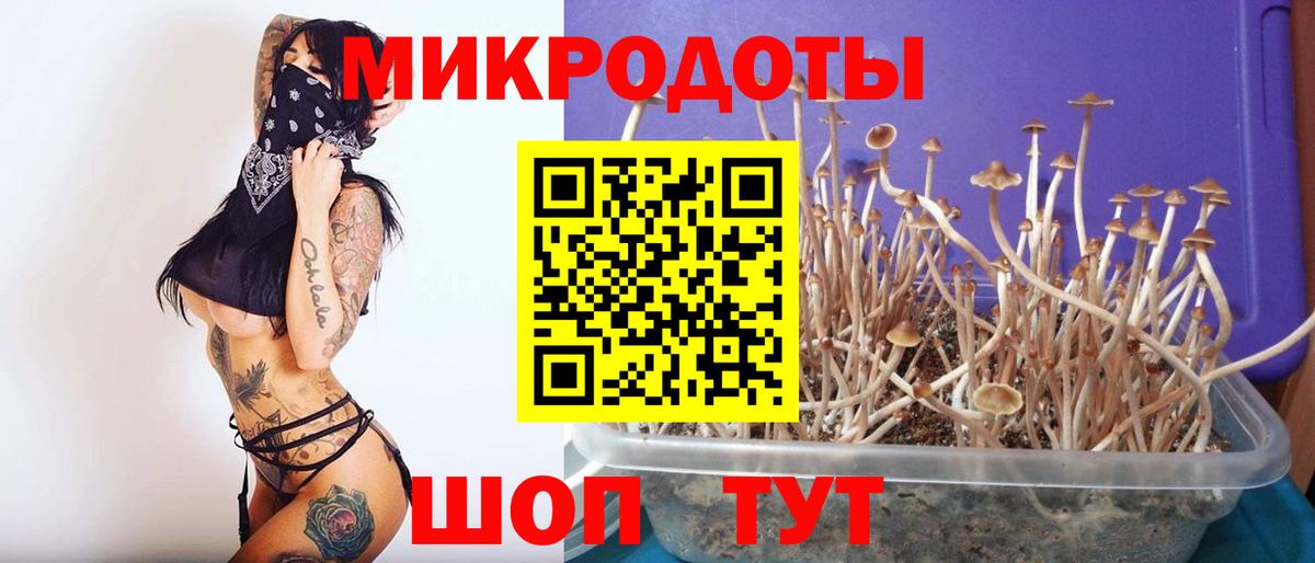Галлюциногенные грибы Cubensis Светлоград